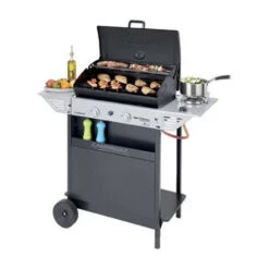 Barbecue A Gas Campingaz XPERT 200 LS Rocky Con Forno, Griglia, Fornello Laterale