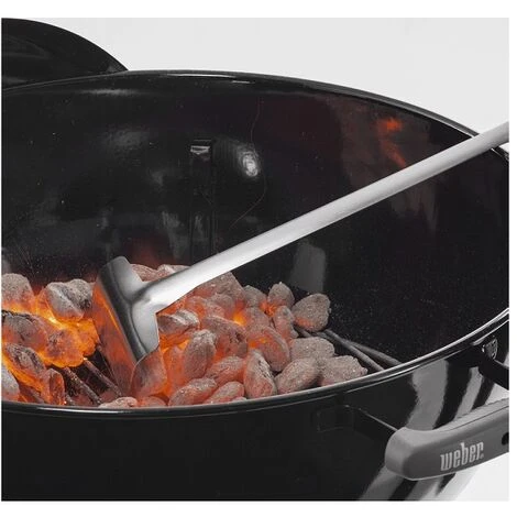 WEBER BRICCHETTI 8 KG 5 WEBER BRICCHETTI 8 KG - immagine 3