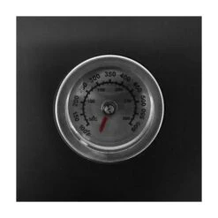 Griglia Barbecue Bbq Brace Carbone Carbonella Grill Acciaio Controllo Termico -Prodotti Per Barbecue 8891034 3